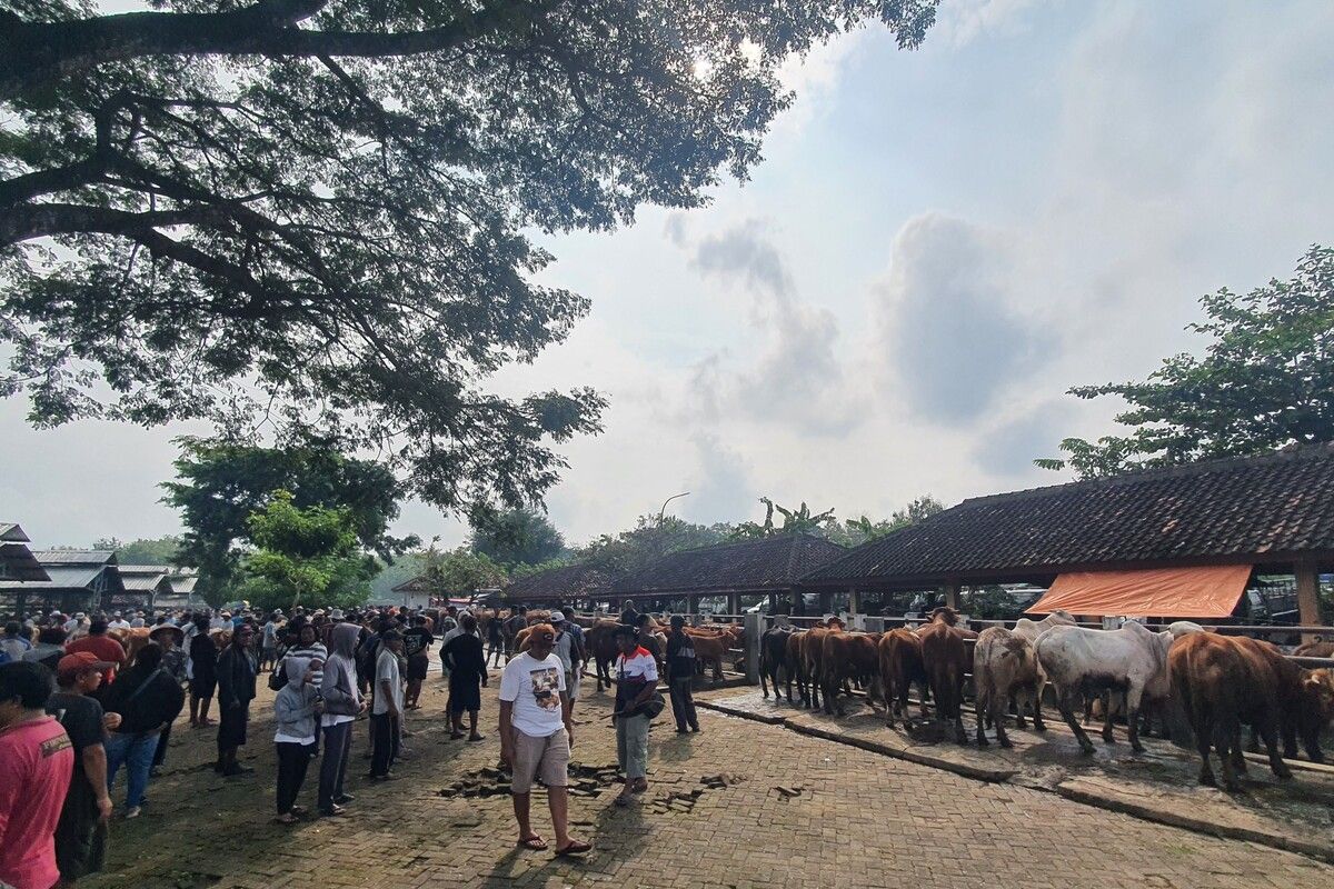 Suasana pasar hewan Siyono Harjo, Playen, Gunungkidul, Kamis (22/5/2025)