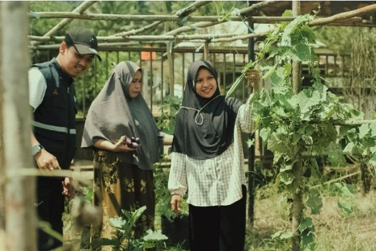 Warga Panen Sayuran di Kebun Gizi Desa Bungintimbe.