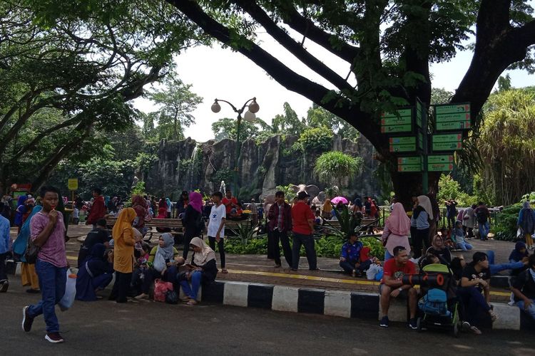 Taman Margasatwa Ragunan, Pasar Minggu, Jakarta Selatan, Selasa (24/12/2019).