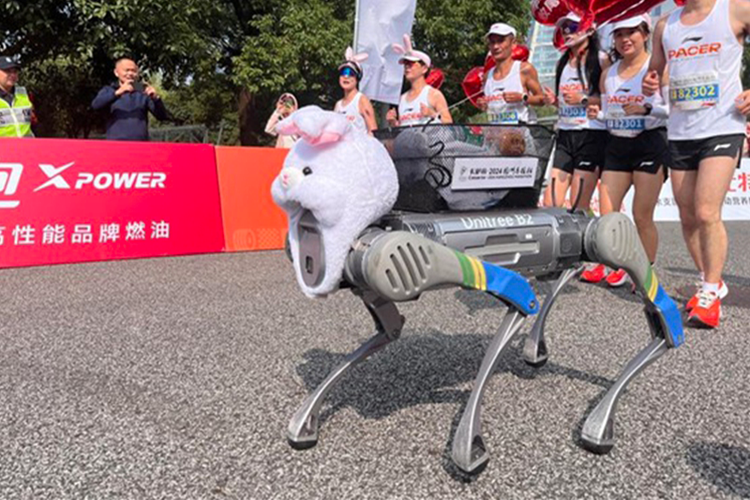 Robot mirip anjing yang bernama B2 menjadi pacer di Hangzhou Marathon 2024.