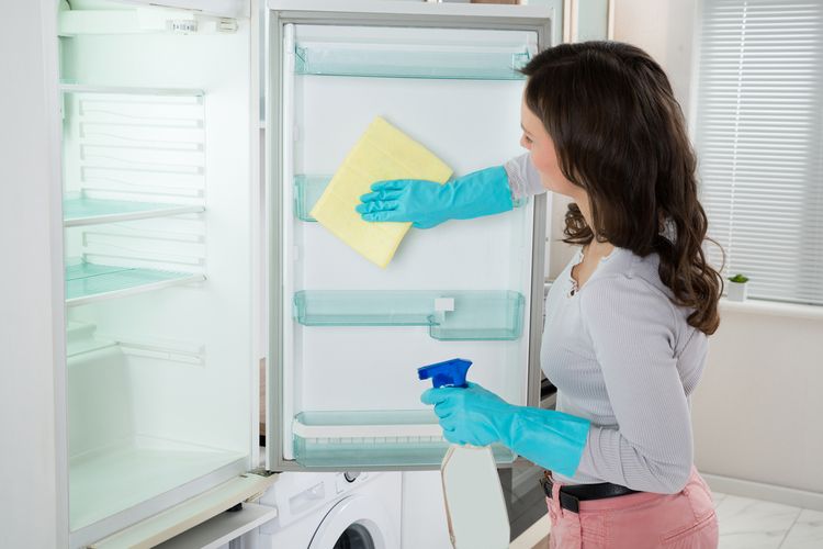 Ilustrasi membersihkan kulkas, membersihkan lemari es.