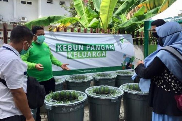 Untuk mengatasi kebutuhan pangan masyarakat di tengah pandemi Covid-19, Dompet Dhuafa ajak kuatkan kebun pangan keluarga di Gorontalo.