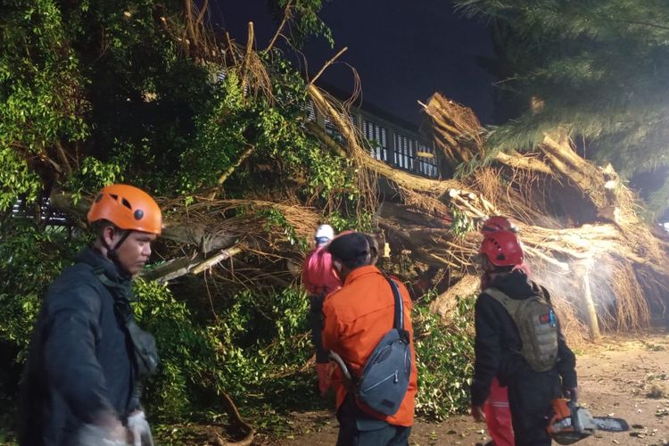 Cuaca Ekstrem Terjang Sukabumi: Pohon Tumbang Timpa 2 Mobil dan 10 Motor, Angin Kencang Rusak Rumah Warga