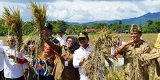 Petani di Klaten Panen Padi IP400, Mentan SYL Ingin Perluas Penerapan IP400