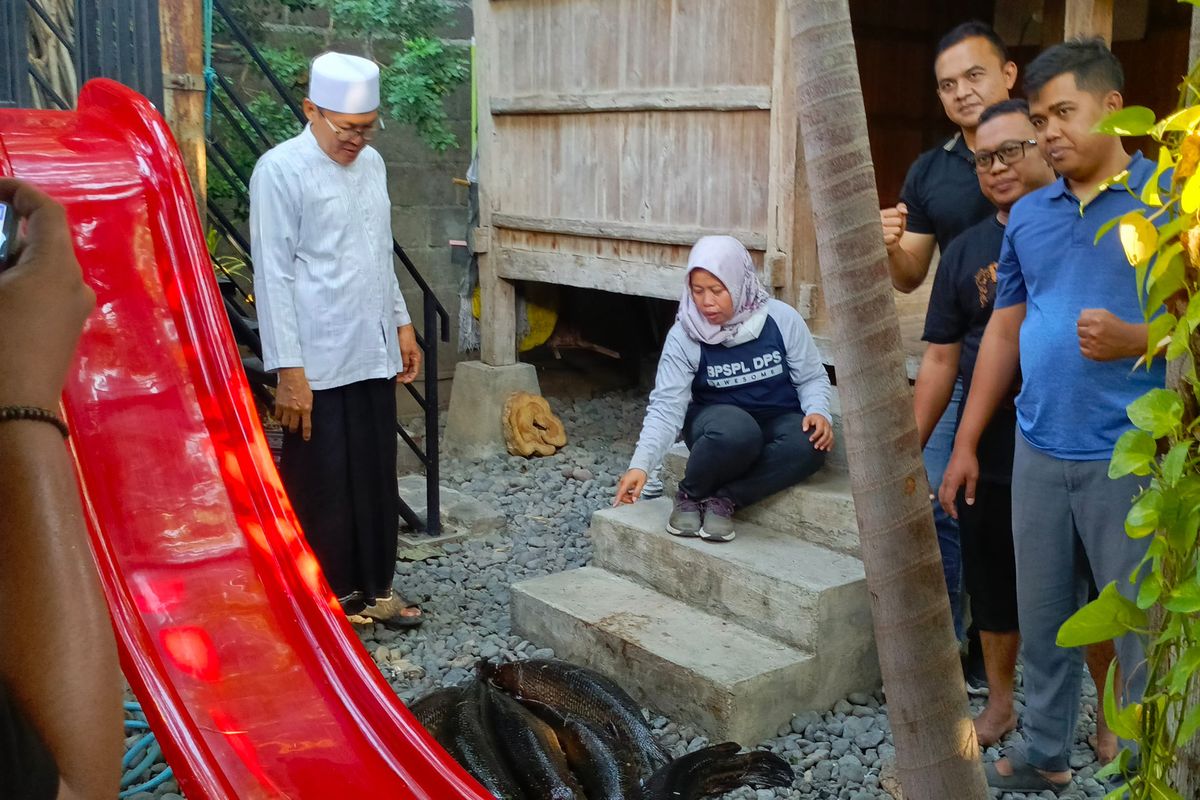 Pemusnahan ikan aligator gar di Kabupaten Situbondo Provinsi Jawa Timur pada Kamis (19/9/2024).
