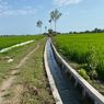 Mentan SYL: Irigasi Jadi Solusi untuk Tingkatkan Produktivitas Pertanian di Lampung