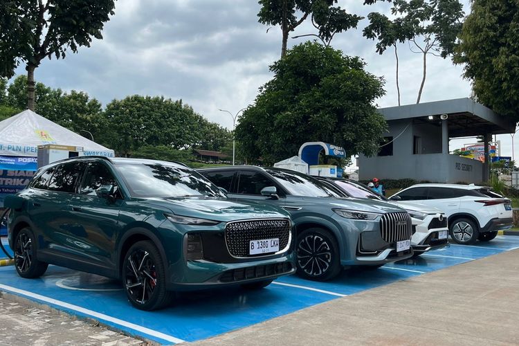 PKB Mobil Listrik di Jateng Masih Nol, Apakah Akan Berubah?