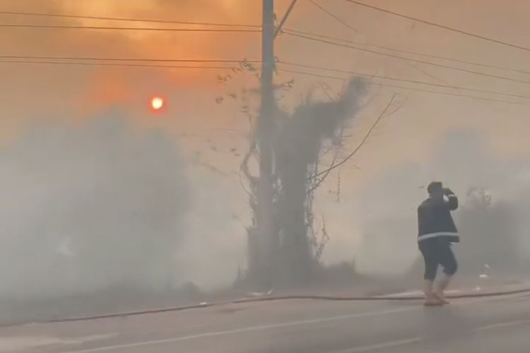 5 Lokasi Kabupaten Banjar Dilanda Karhutla Bersamaan, Petugas Hadapi Medan Sulit