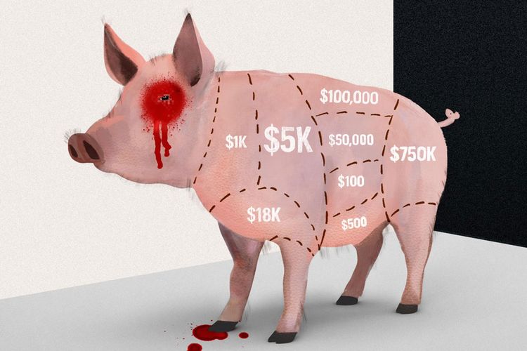 Ilustrasi Pig Butchering scam yang menargetkan investor kripto.