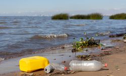 Polusi Plastik Percepat Pertumbuhan Alga Beracun