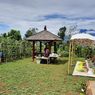 10 Tips Wisata ke OJ Organic Farm agar Makin Menyenangkan