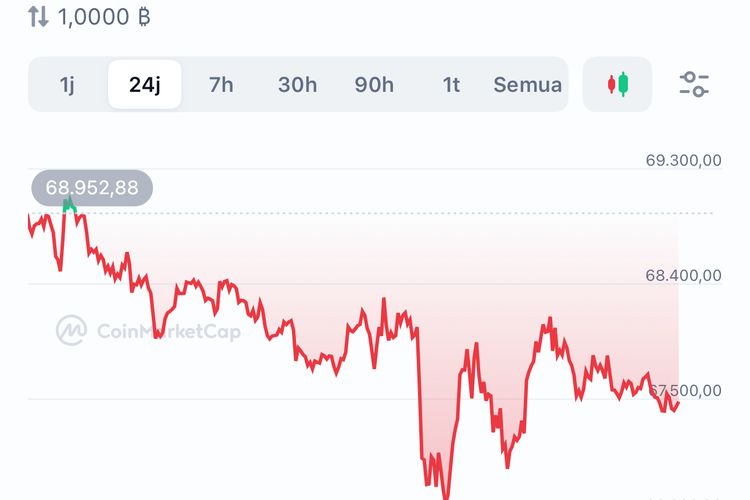 Grafik pergerakan harga BTC dalam 24 jam terakhir 