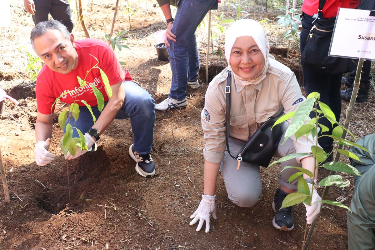 Penuhi Komitmen ESG, Infomedia Tanam 1.000 Pohon di TN Gunung Gede ...