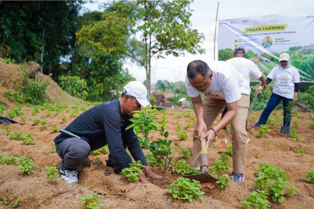 PGN melakukan edukasi program Urban Farming di Kampung Nglarang. 