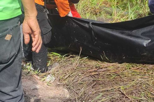 Seorang Pria di Ketapang Kalbar Ditemukan Tewas di Sungai, Diduga Diterkam Buaya