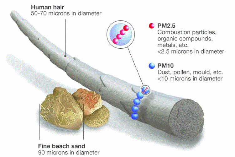Perbandingan partikel PM2.5 dan rambut manusia.