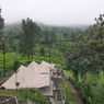 Agrowisata Gunung Mas di Bogor, Tempat Healing dengan Pemandangan Kebun Teh