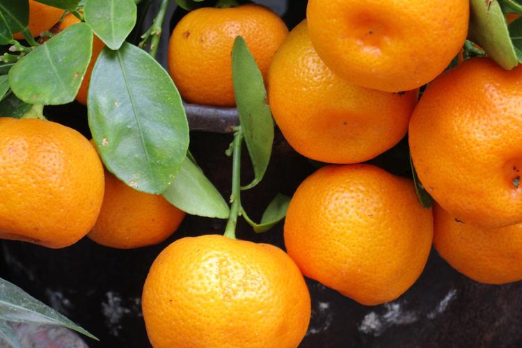 Penderita diabetes mungkin bertanya-tanya apakah aman mengonsumsi buah jeruk. Hal itu mengingat, pasien diabetes wajib menjaga kadar gula darahnya. 
