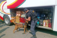 Cegah Peredaran Narkoba, Anjing Pelacak BNN Endus Barang Bawaan Pemudik di Terminal Kampung Rambutan