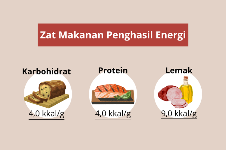 Zat makanan penghasil energi adalah karbohidrat, protein, dan lemak.