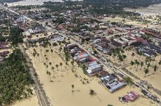 Resep Ayam Kecap Saus Kental dan Meresap, 4 Langkah Masak