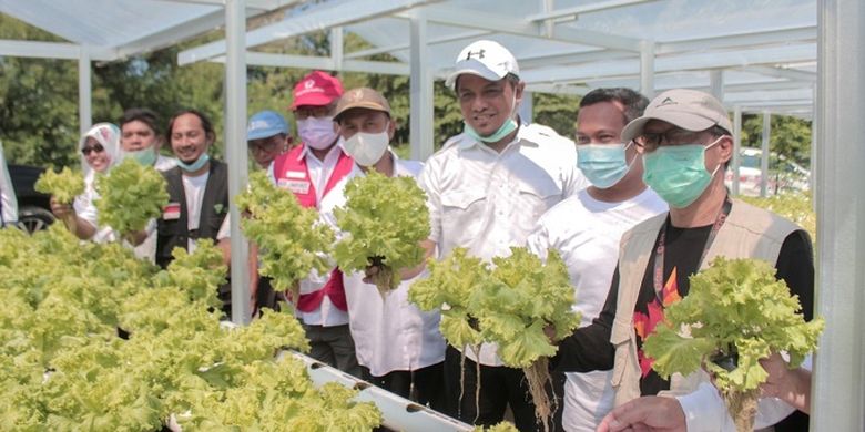 Tim Dompet Dhuafa bersama perwakilan Yayasan CARE Peduli, pendamping, perwakilan pemerintah, dan penerima manfaat melaksanakan panen perdana lahan hidroponik pasca bencana di Palu, Sigi, dan Donggala.