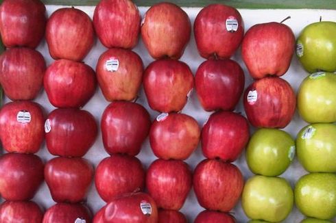 Diskoperindag Kolaka Tarik Puluhan Kilogram Apel Amerika