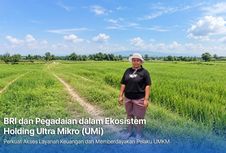 Dari Gadai Emas hingga KUR Mikro, Holding Ultra Mikro Bawa Mur Dwi Astuti Sukses Jadi Petani di Merauke