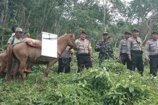 Petugas Logistik Pilkada Hilang di Hutan, Satu Distrik di Papua Belum Memilih 