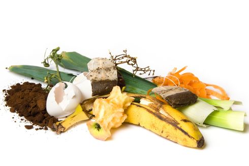 Catat, Ini Bahan Makanan yang Bisa dan Tidak Boleh Dijadikan Kompos 