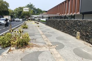 Penebang 10 Pohon di Cihapit Terungkap, Ternyata Subkontraktor Taman, Pemberi Perintah Ditelusuri