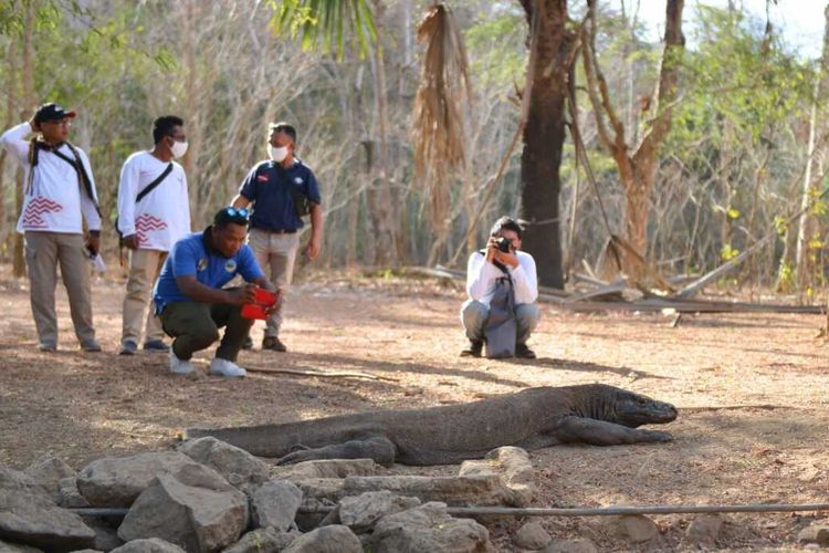 Kementerian Pariwisata dan Ekonomi Kreatif bersama dengan BOPLBF melaksanakan famtrip dengan media di kawasan Taman Nasional Komodo, Labuan Bajo, Manggarai Barat, NTT, Minggu, (13/9/2020). (HANDOUT/BOPLBF)