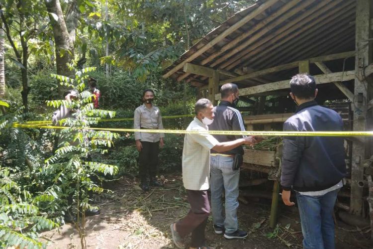 Polisi mengolah TKP pencurian tiga kambing di Pedukuhan Semawung, Kalurahan Banjaroyo, Kapanewon Kalibawang, Kabupaten Kulon Progo, Daerah Istimewa Yogyakarta. Korban yang juga keluarga petani itu mengaku rugi Rp 4.500.000.