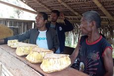 Nangka Salak dan Bubur, Berkah bagi Petani di Sikka Tiap November