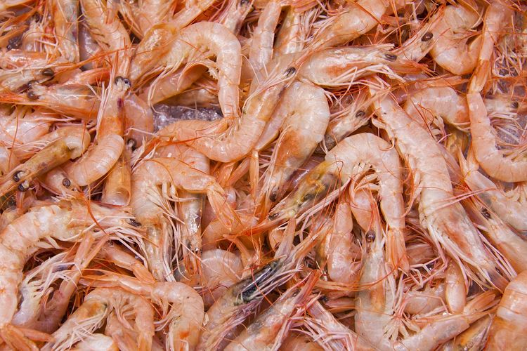 Ecuadorian shrimp packaging in China is found to contain traces of coronavirus, based on reports from Chinese state media on Wednesday.