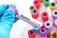 Kemenkes Prioritaskan Eliminasi Malaria di Papua yang Masih Tinggi Kasusnya