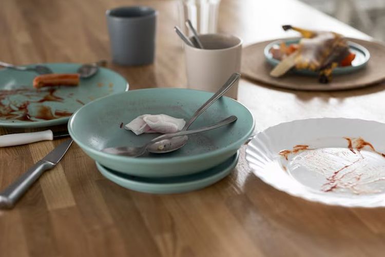 Lalat Sering Mampir ke Meja Makan? Ini Kata Ahli IPB soal Penyebabnya