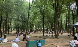 Ternyata Segini Kebun Binatang Ragunan
