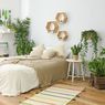 13 Tanaman Hias yang Cocok dan Memberi Manfaat Positif di Kamar Tidur