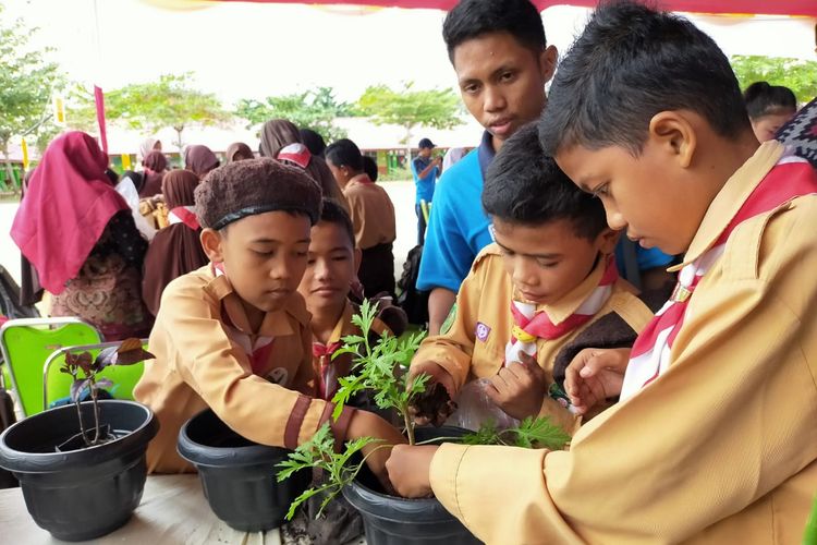 Tanaman barucina merupakan salah satu tanaman obat yang dapat ditanam di dalam pot. Siswa-siswi di Perawang diajarkan cara menanam melalui potting agar dapat diterapkan di rumah sebagai taman obat keluarga.