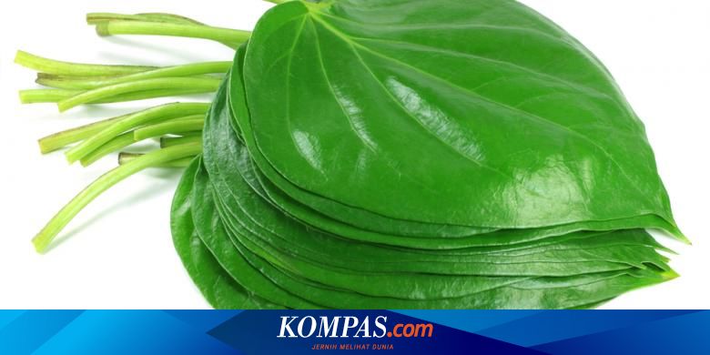 Yuk Simak Manfaat Daun Sirih Buat Gigi 
