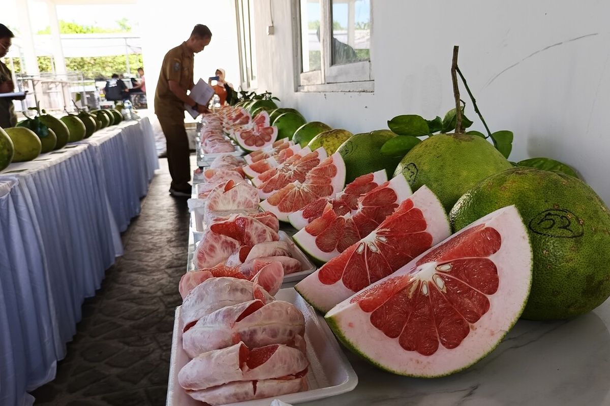 Ketua Komisi B DPRD Kabupaten Magetan Rita Haryati menghimbau jeruk pamelo sebagai produk unggulan menjadi bagian dari menu program makan bergizi gratis karena memiliki vitamin tinggi. Jeruk pamelo merupakan salah satu produk unggulan di Magetan yang diburu masyarakat ketika panen raya.