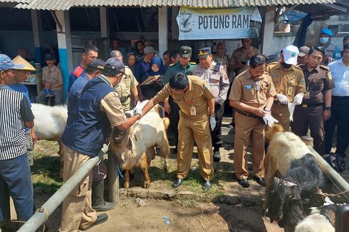 Pedagang Hewan di Kabupaten Semarang Bingung, Jelang Idul Adha Malah Sepi Pembeli