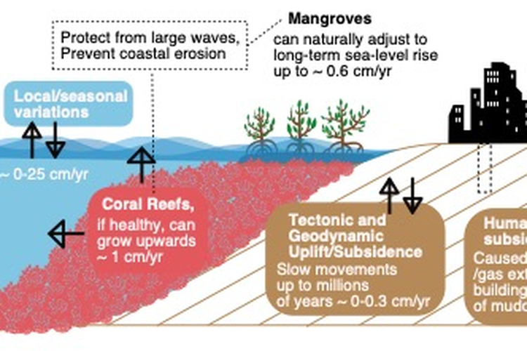 Ilustrasi skematis berbagai faktor penting dalam kenaikan permukaan laut.