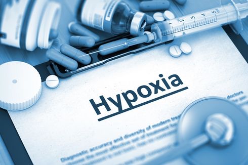 Berita Harian Happy-hypoxia-syndrome Terbaru Hari Ini - Kompas.com