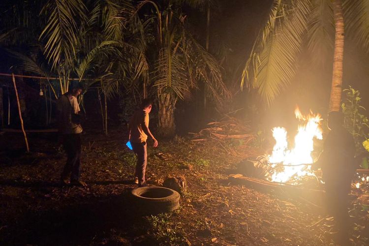 Polisi Bubarkan dan Bakar Arena Sabung Ayam di Rejang Lebong