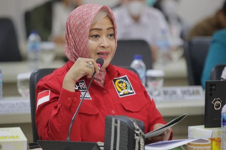 Anggota Dewan Perwakilan Daerah (DPD) Republik Indonesia (RI) dari dewan pemilihan (dapil) Jakarta Fahira Idris. 