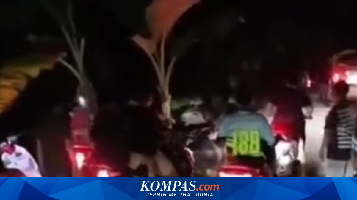 Berawal dari Protes Jalan Rusak, Aksi Tanam Pisang di Wajo Berujung Permintaan Maaf Kades