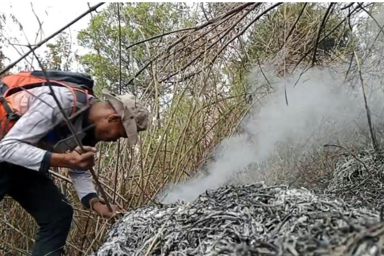 Karhutla Gunung Sumbing di Magelang-Wonosobo Padam, Temanggung Meluas Jadi 344 Hektar