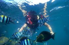 3 Tips Snorkeling Pertama Kali untuk Pemula, Penting Kontrol Diri